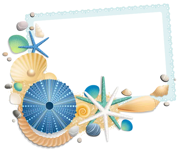 Decorative Frame with Seashells and Starfish