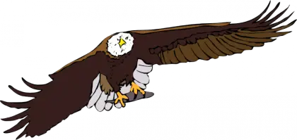 Illustration of a Flying Eagle with Wings Spread