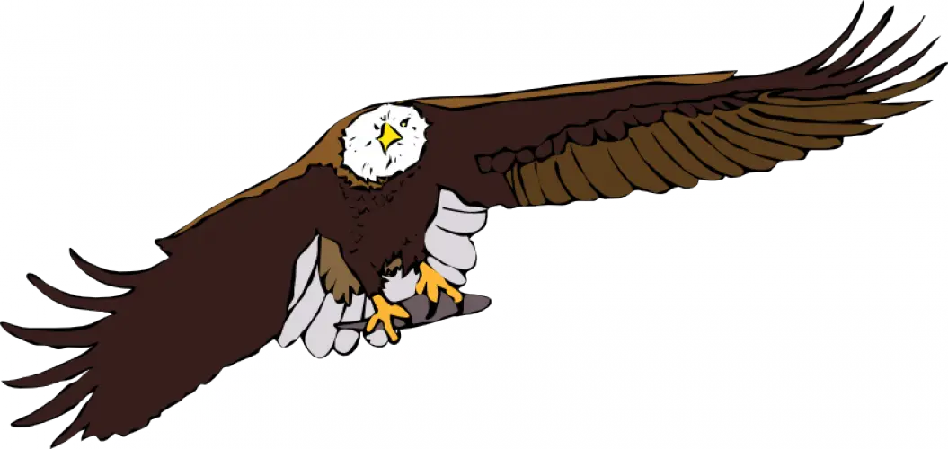 Illustration of a Flying Eagle with Wings Spread