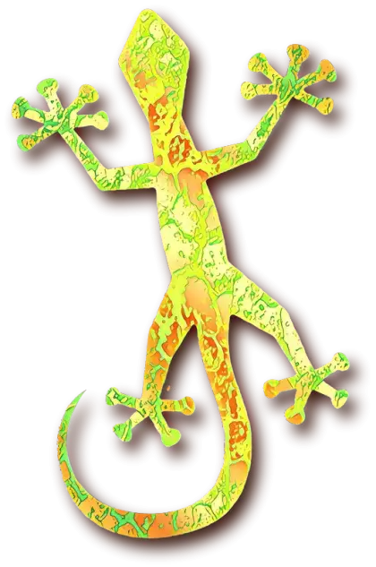 Colorful Gecko Artwork