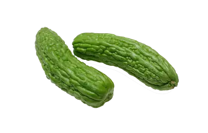 Fresh Green Bitter Gourds with Bumpy Texture