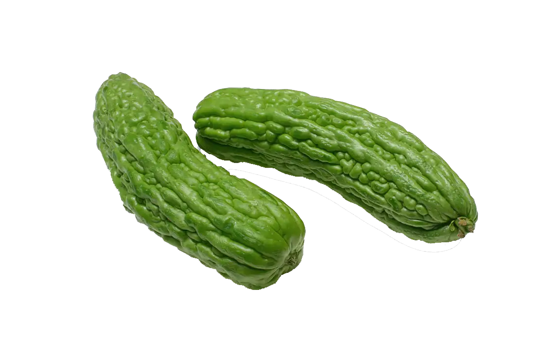 Fresh Green Bitter Gourds with Bumpy Texture
