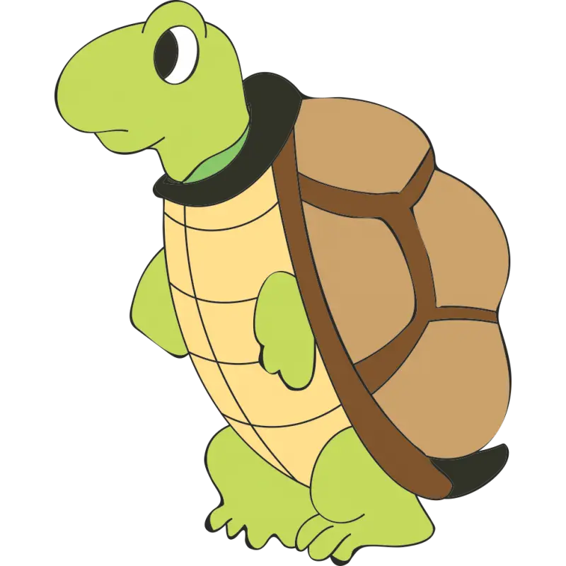 Friendly Cartoon Turtle Illustration