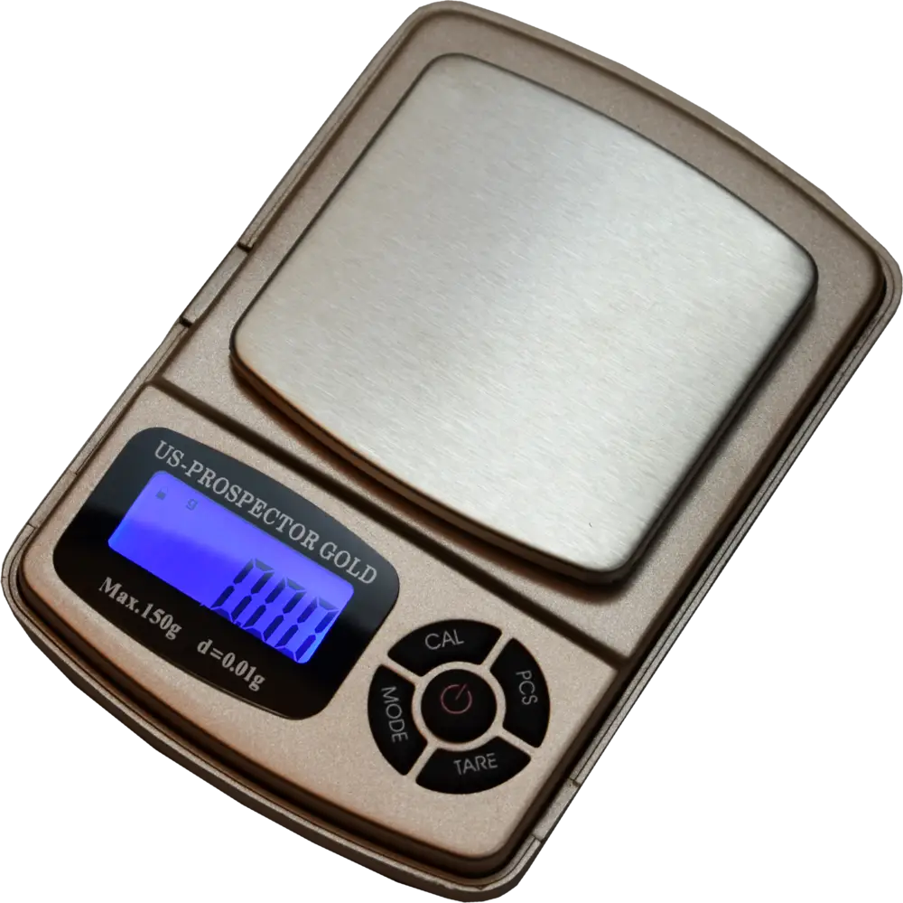 Portable Digital Scale
