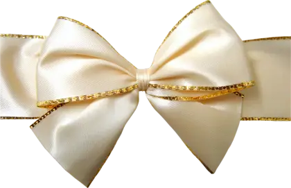 Elegant Ribbon Bow for Gift Decoration