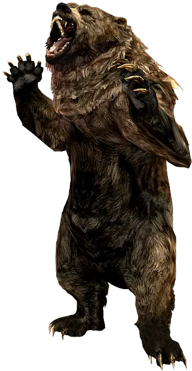 Roaring Wild Bear
