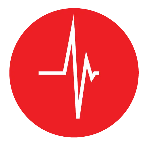 Red Heartbeat Signal Icon