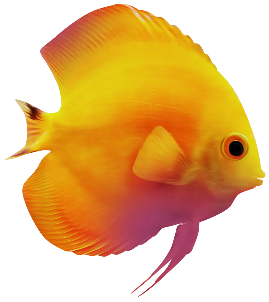 Bright Yellow Fish