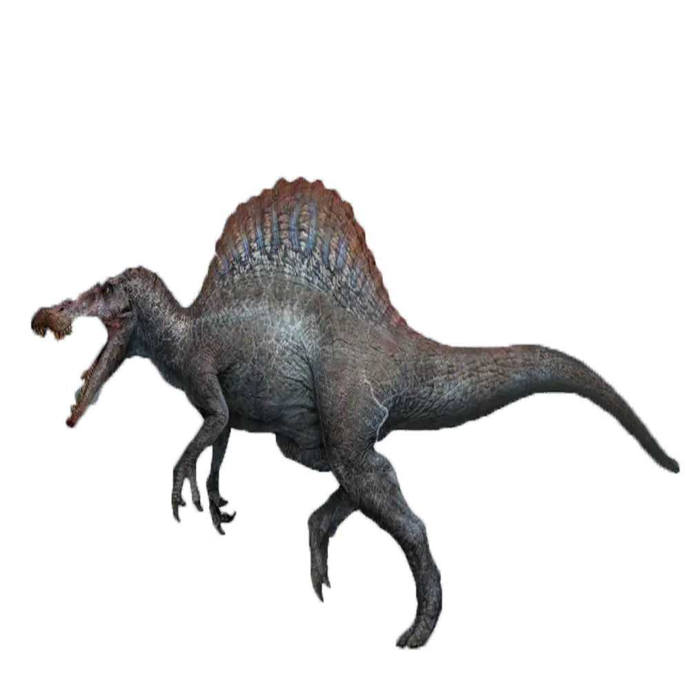 Illustration of a Spinosaurus Dinosaur