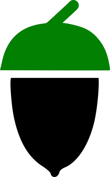 Simple Acorn Illustration