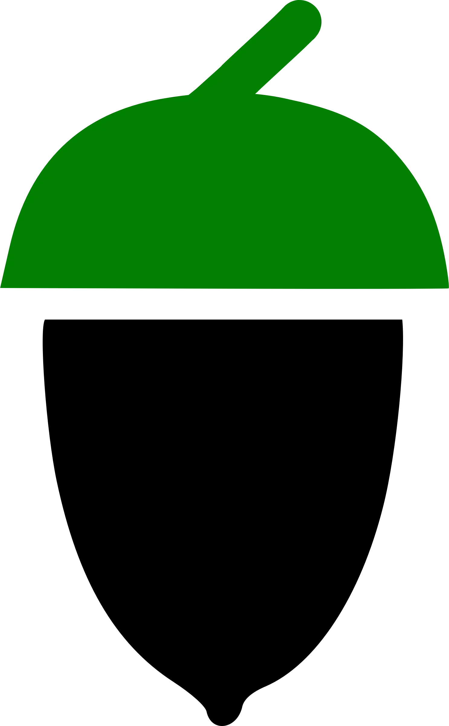 Simple Acorn Illustration