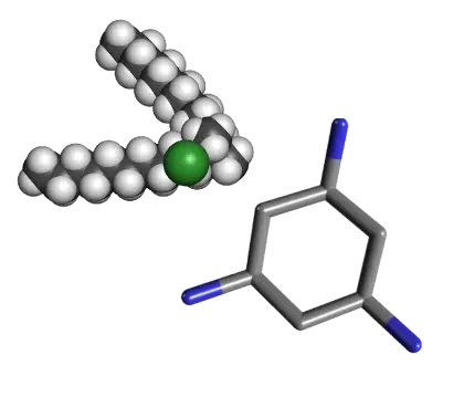 Molecular Structure and 3D Model