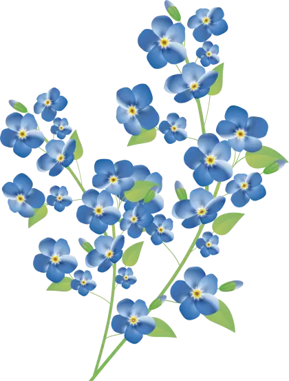 Blue Flowers Botanical Illustration