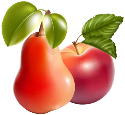 Fresh Pear and Apple Illustration