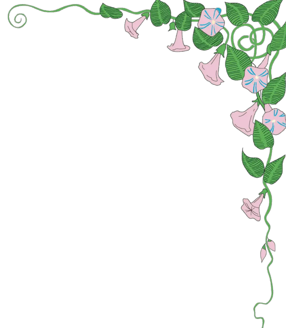 Decorative Floral Border Design