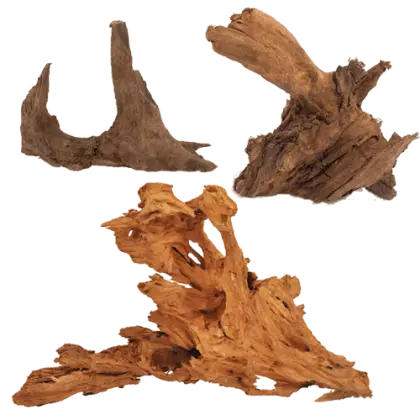 Natural Driftwood Pieces