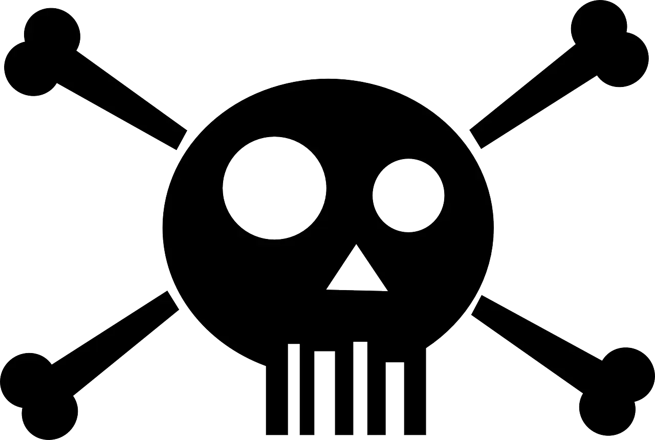 Black Skull and Crossbones Icon