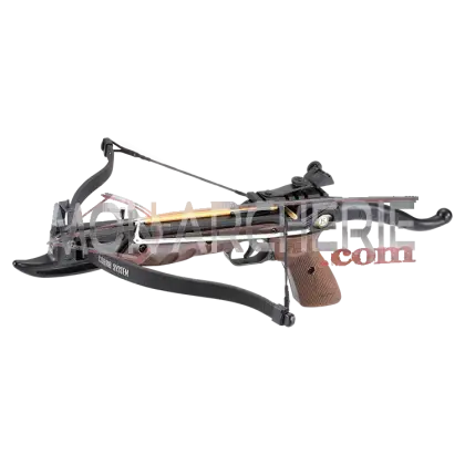 Modern Crossbow for Archery