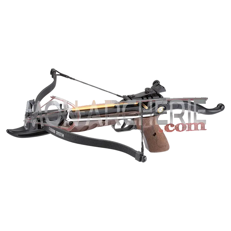 Modern Crossbow for Archery
