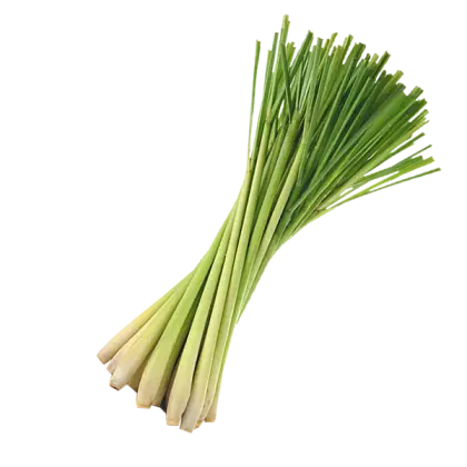 Fresh Lemongrass