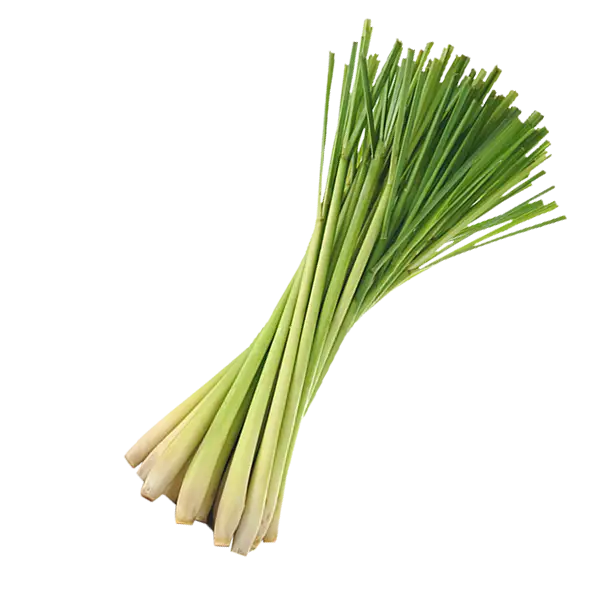 Fresh Lemongrass