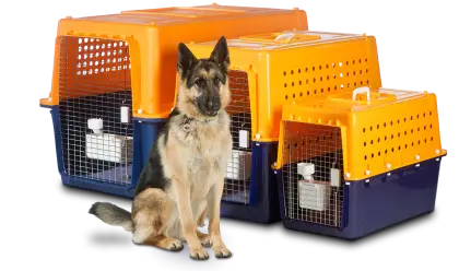 Dog with Pet Carriers for Travel