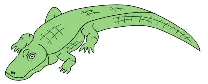 Green Cartoon Crocodile Illustration