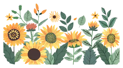 Sunflower Illustration with Leaves and Blooms