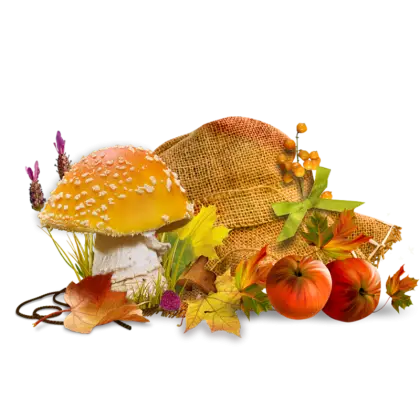 Autumn Mushroom and Hat with Leaves and Pumpkins