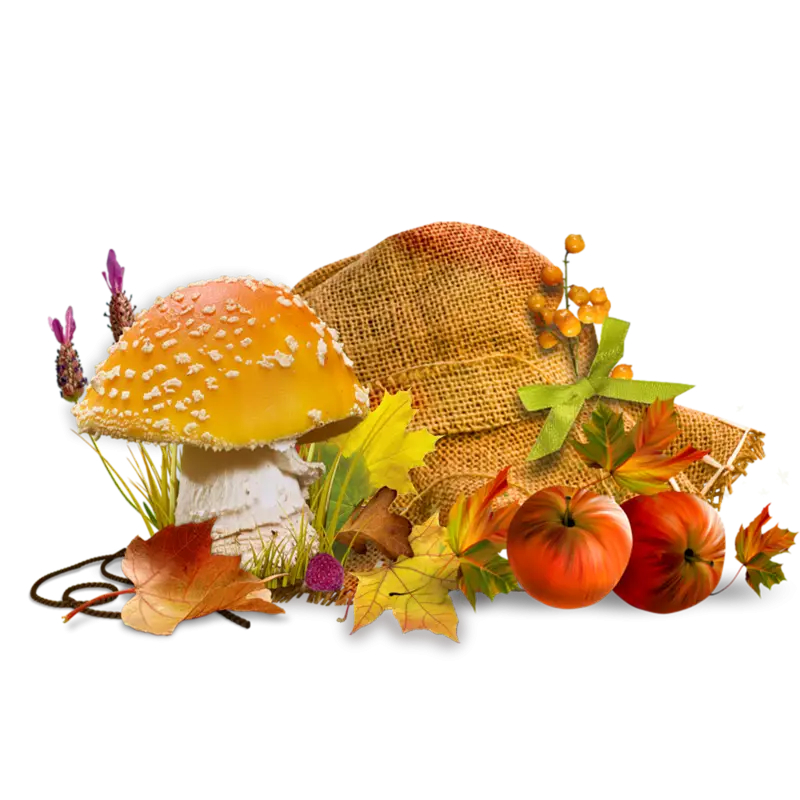 Autumn Mushroom and Hat with Leaves and Pumpkins