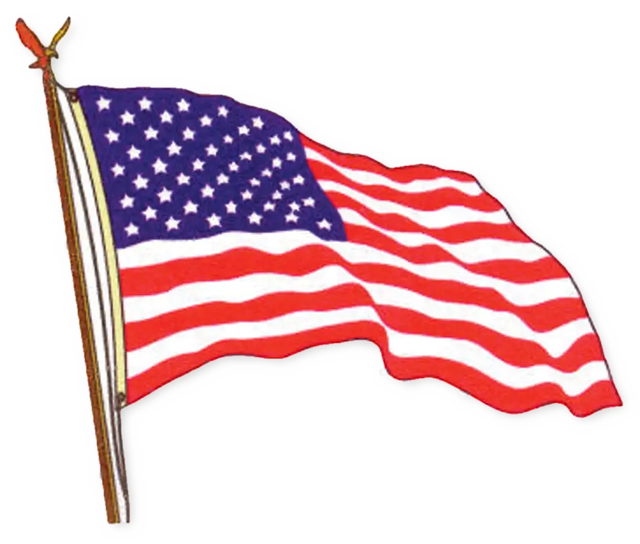 American Flag Illustration