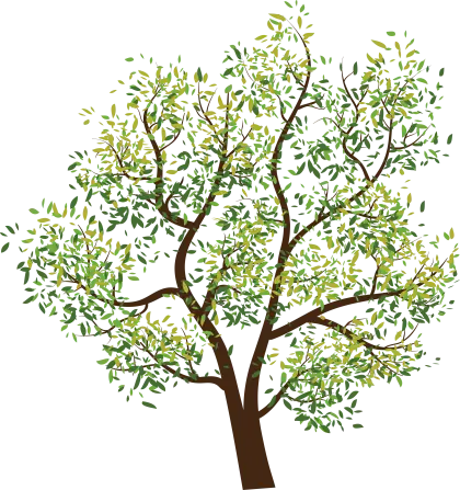 Green Tree with Branches and Leaves
