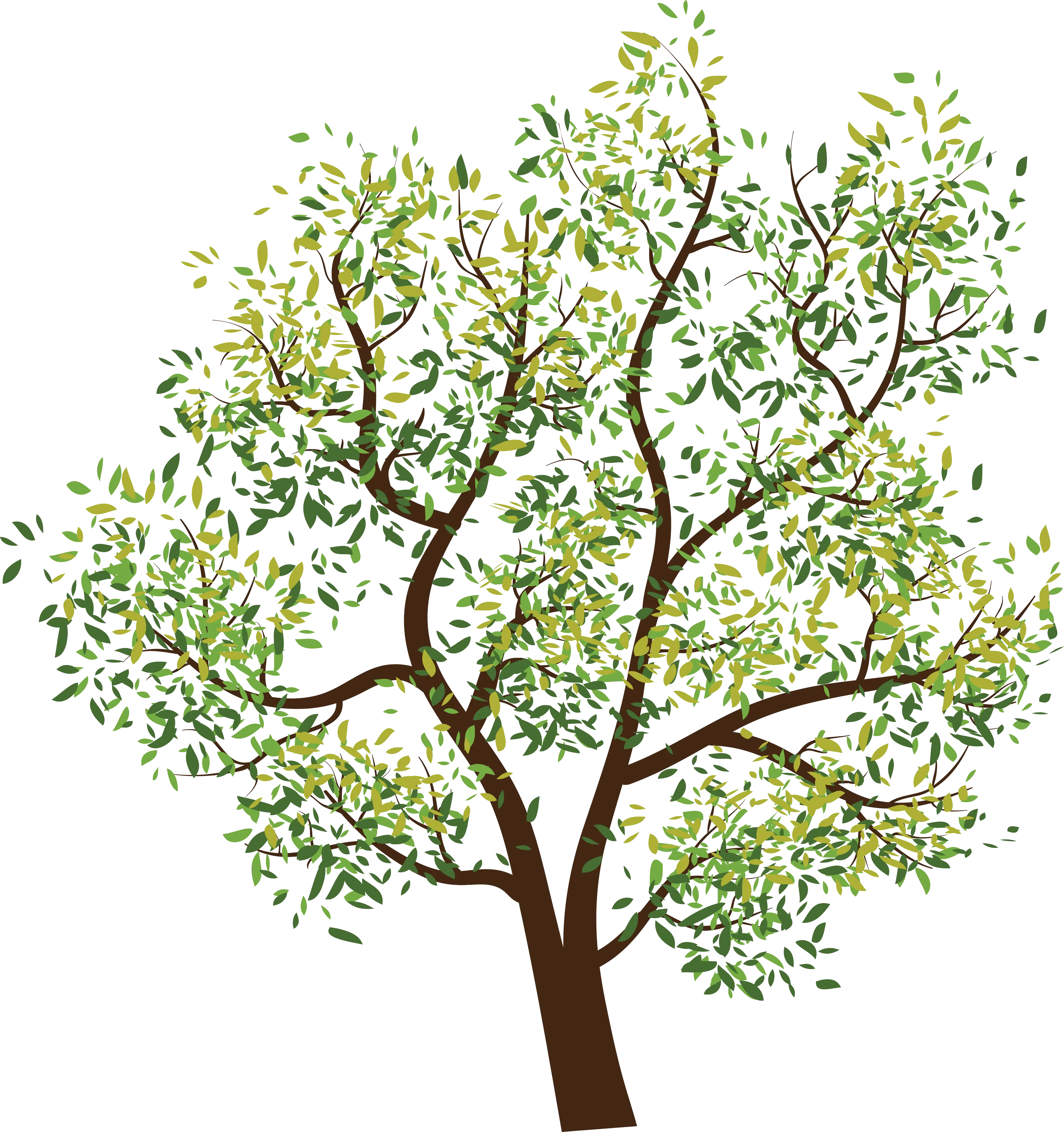 Green Tree with Branches and Leaves