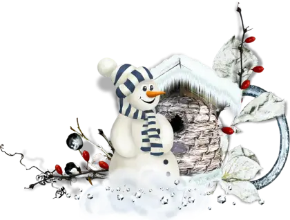 Snowman with Birdhouse in Winter