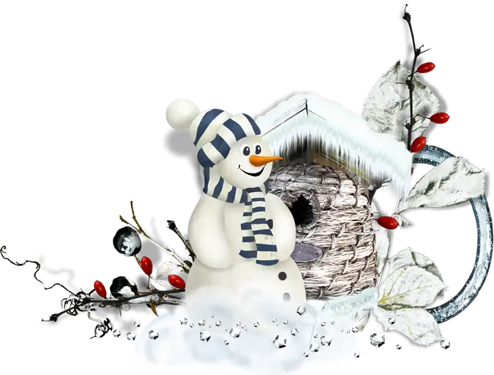 Snowman with Birdhouse in Winter