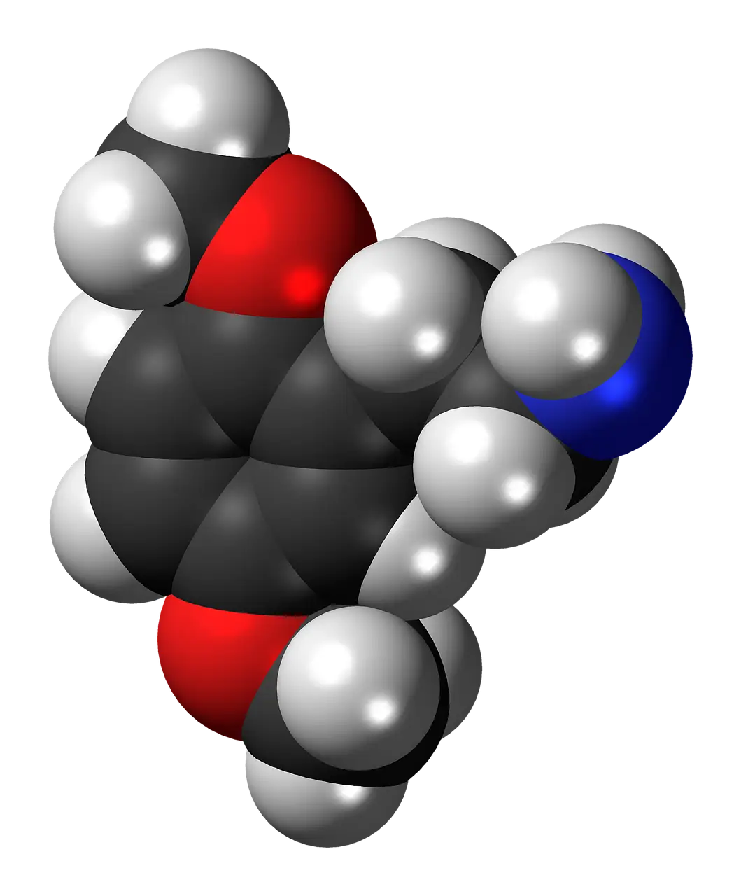 3D Molecular Structure Illustration