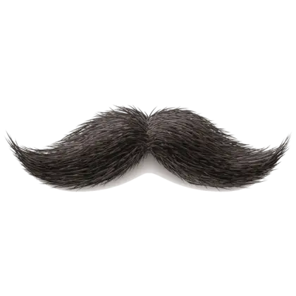 Black Mustache Prop for Fun Occasions