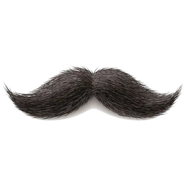 Black Mustache Prop for Fun Occasions