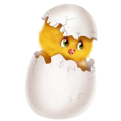 Cute Chick Hatching from Egg