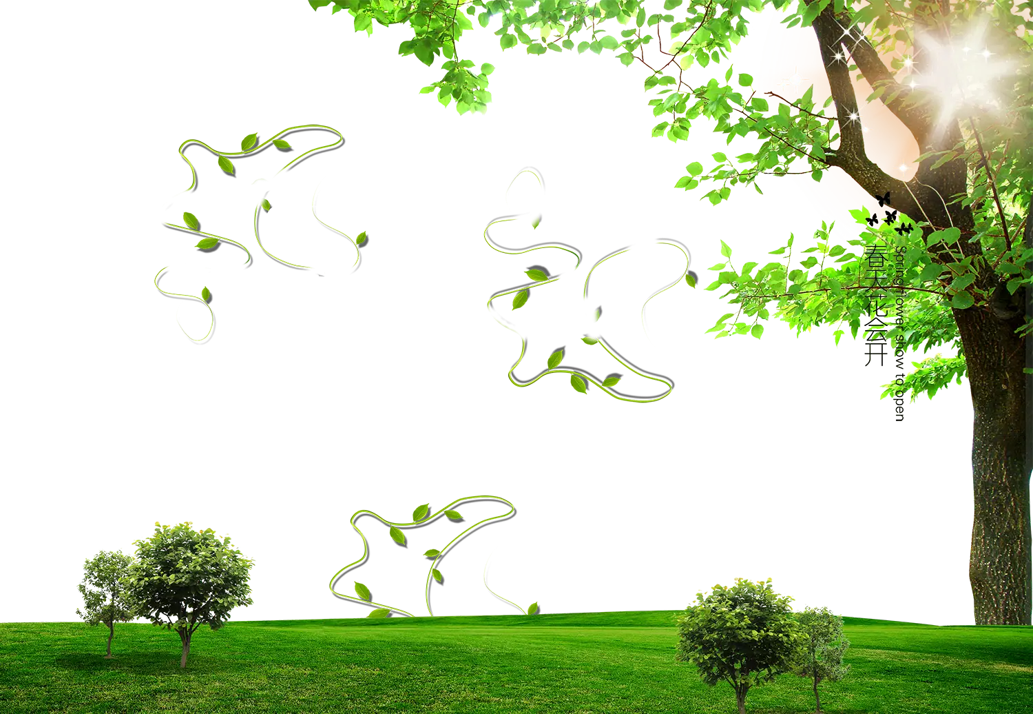 Tree with Green Leaves in Sunlight
