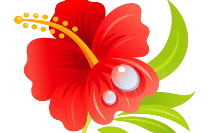 Red Hibiscus Flower with Green Leaves