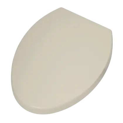 White Toilet Seat