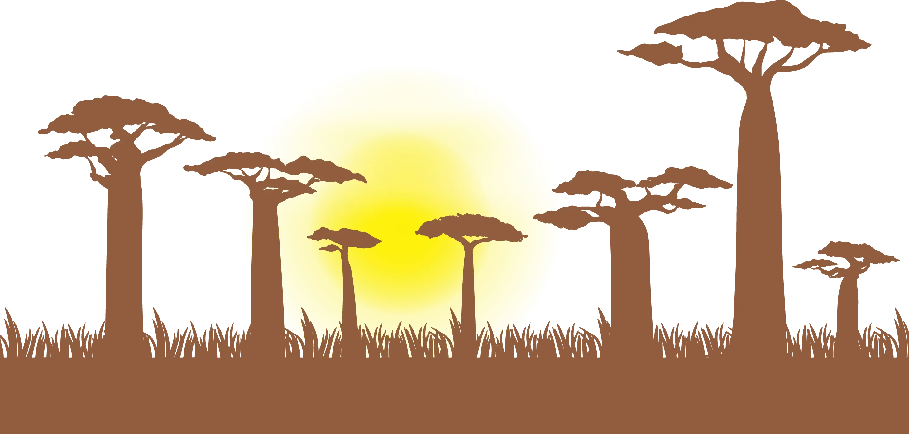 Baobab Trees at Sunset