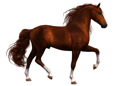 Brown Horse in Graceful Pose