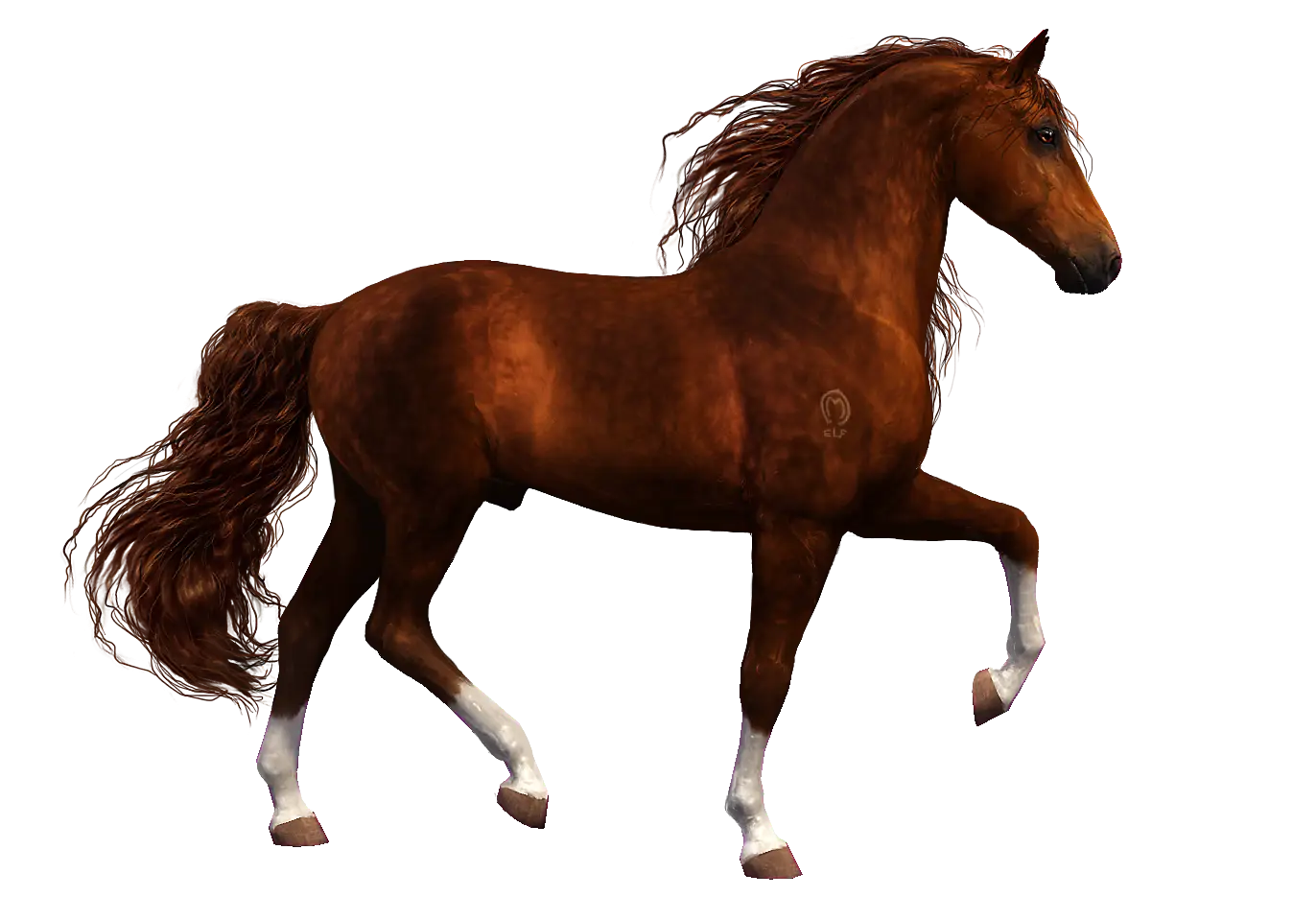 Brown Horse in Graceful Pose