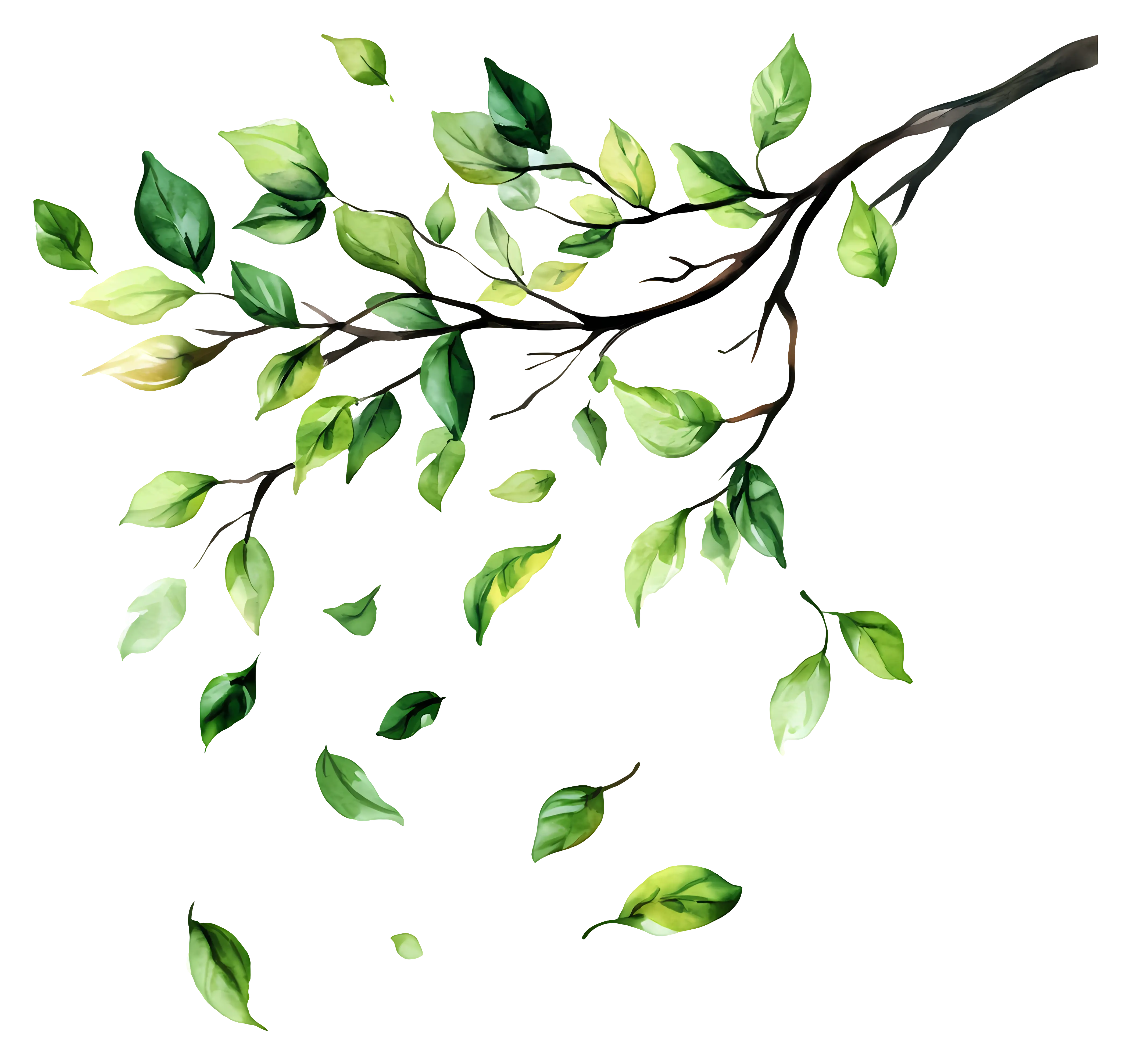 Green Leafy Branch with Falling Leaves
