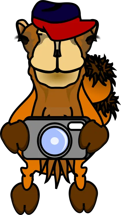 Cartoon Camel Holding a Camera