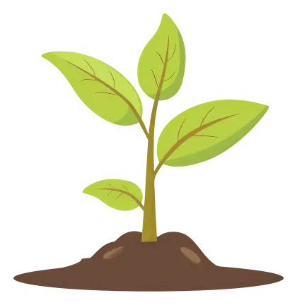 Young Plant Sprouting Illustration
