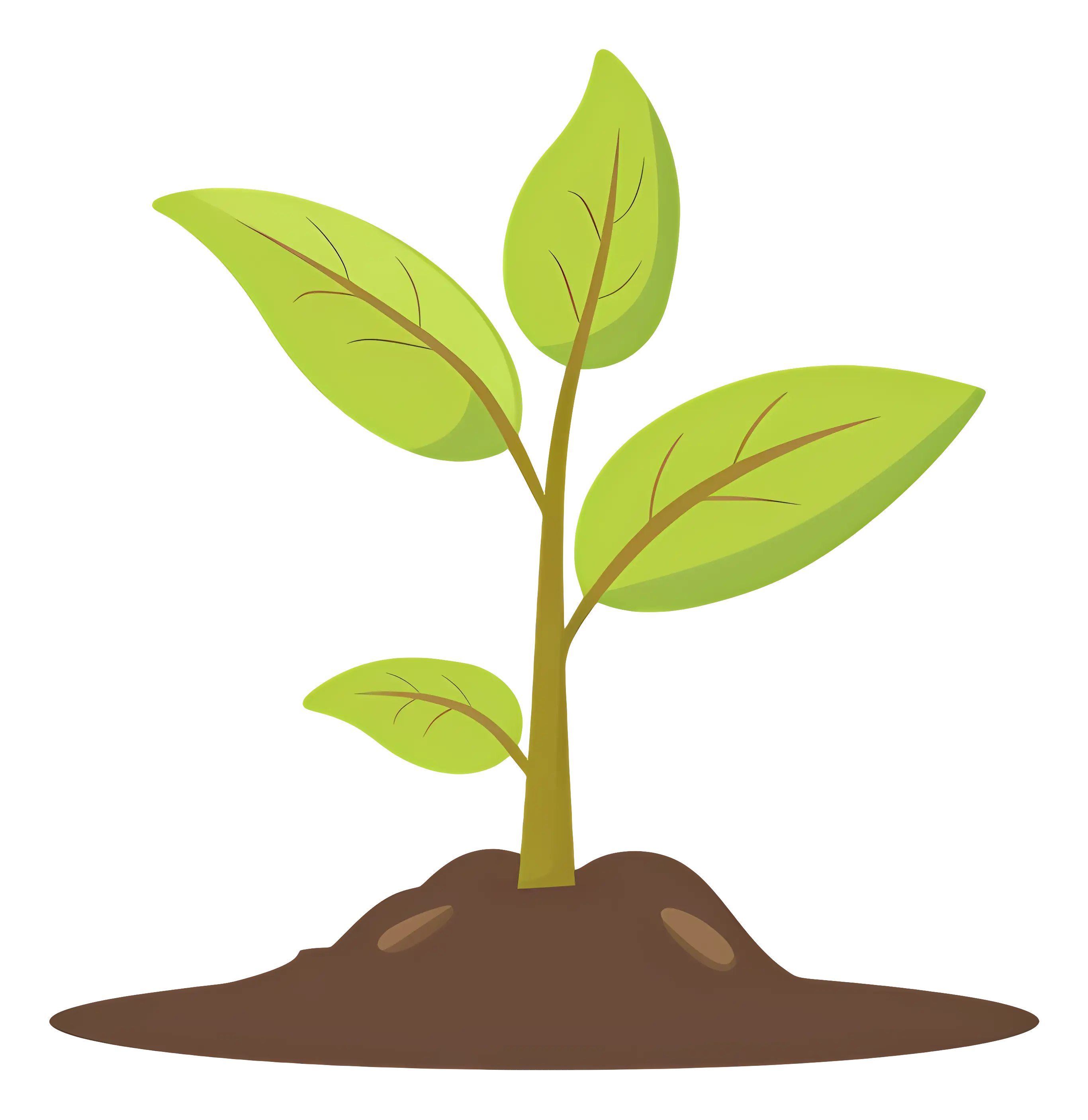 Young Plant Sprouting Illustration