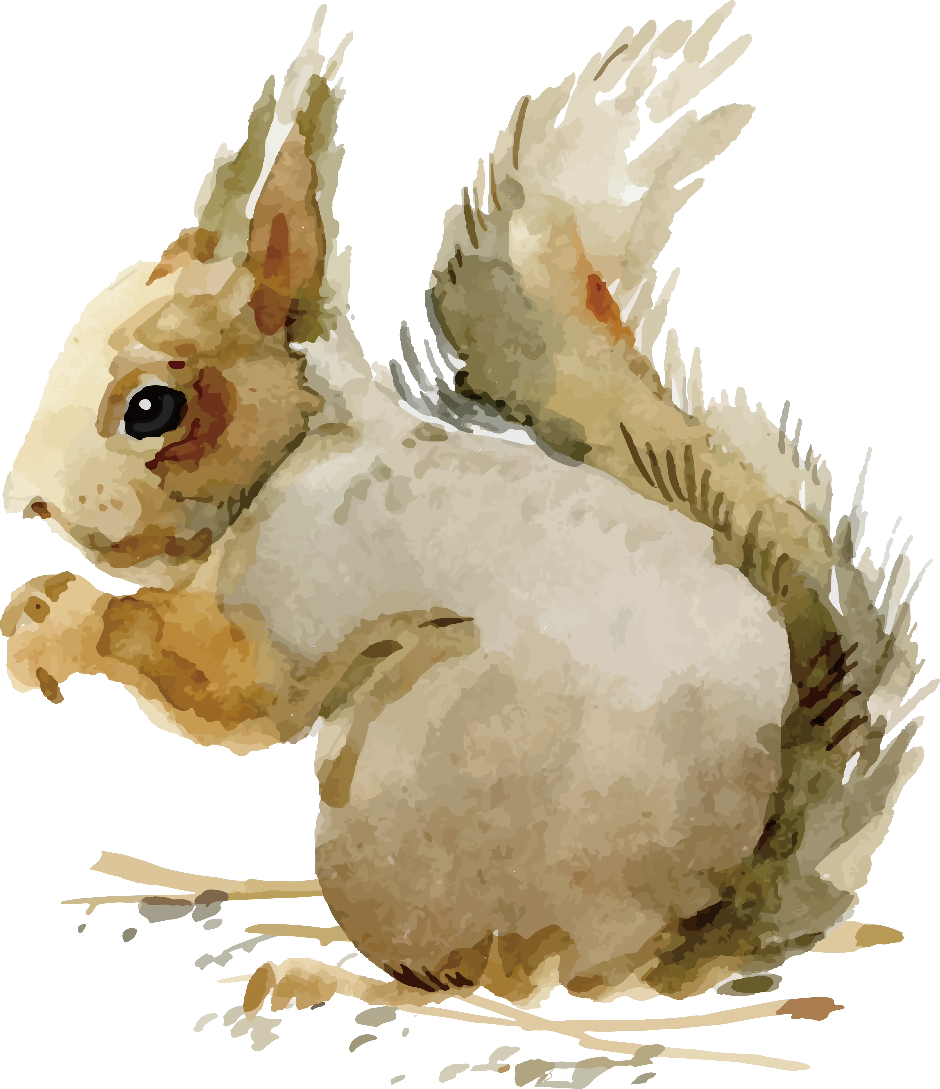 Cute Squirrel Illustration